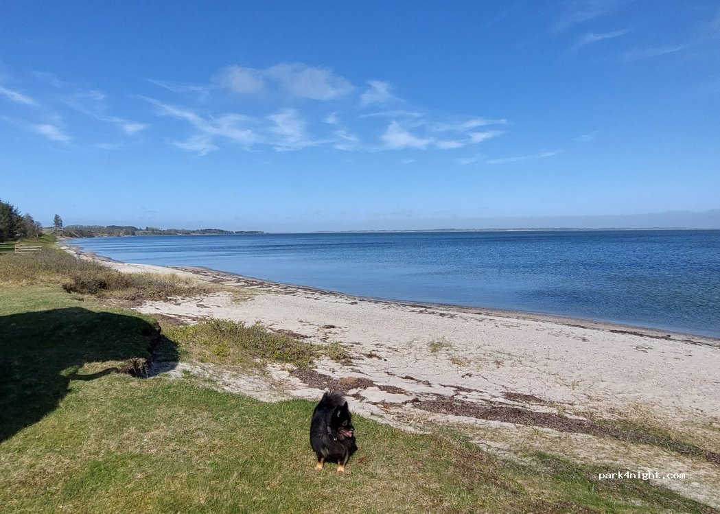 (7600) Struer - 7A Sønderskovvej — foto 3