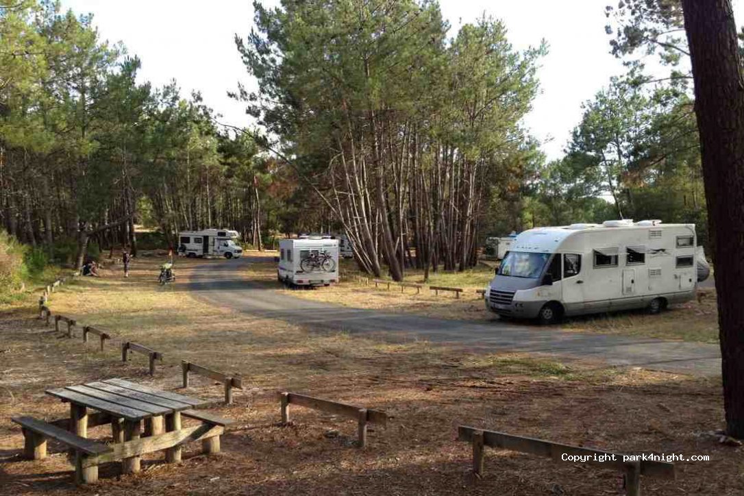 (33950) Lège-Cap-Ferret - Le Grand Crohot — foto