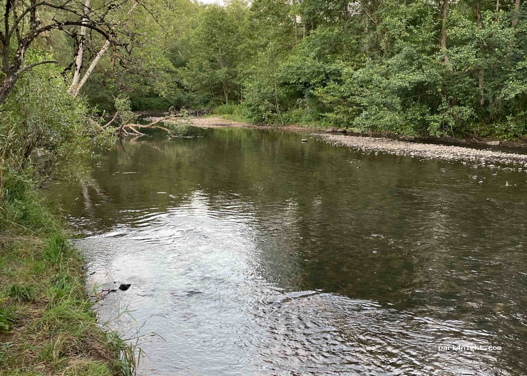 (88100) Saint-Dié-des-Vosges - — foto 3