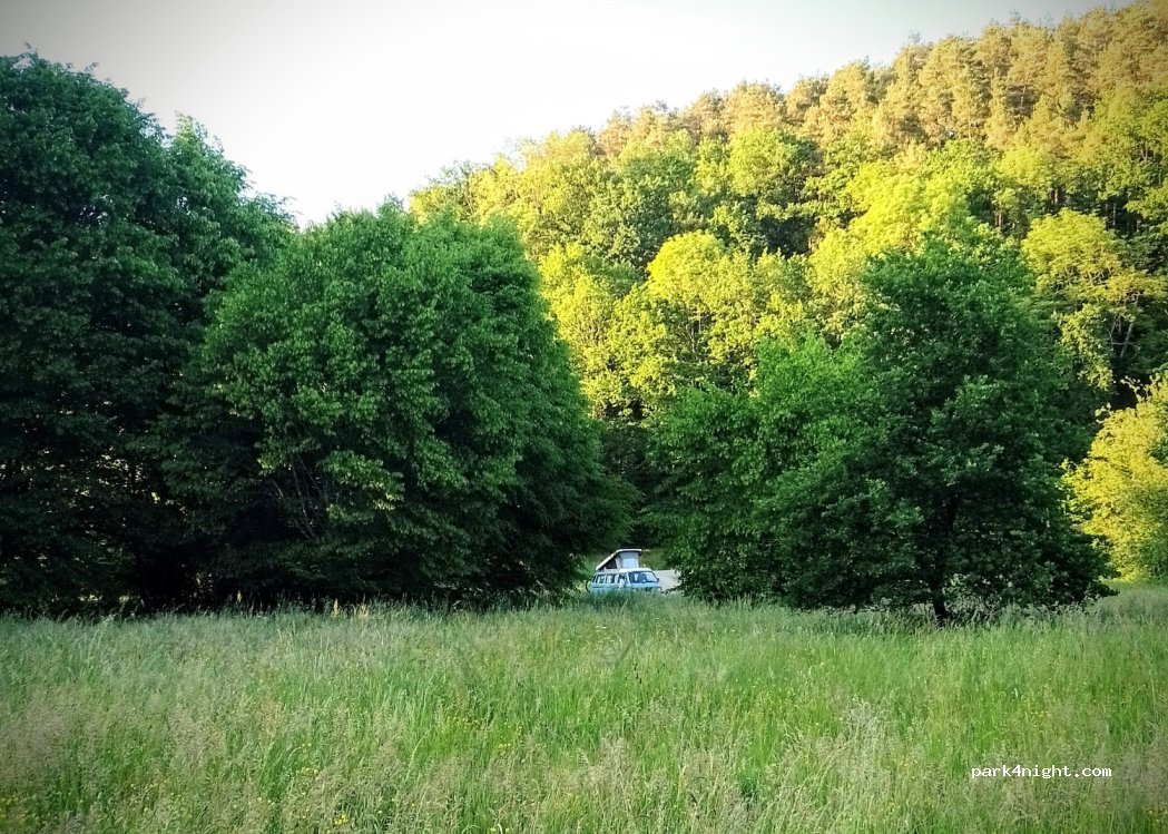 (88100) Saint-Dié-des-Vosges - — foto 4