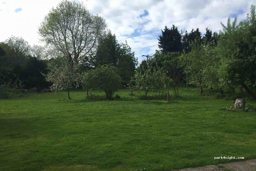 Camping Greenscapes Nursery — foto 2