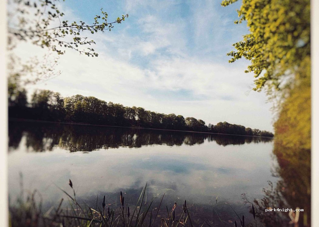 (19071) Cramonshagen - 27 Lindenallee — foto 3