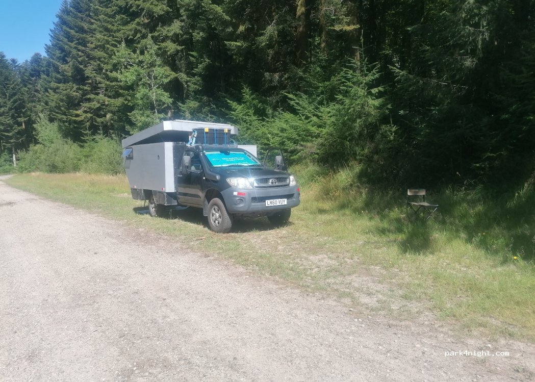 (61500) Le Bouillon - Route Forestière des Bois d'Aché — foto