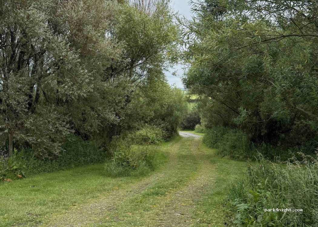 Camping Wild Wales — foto 5