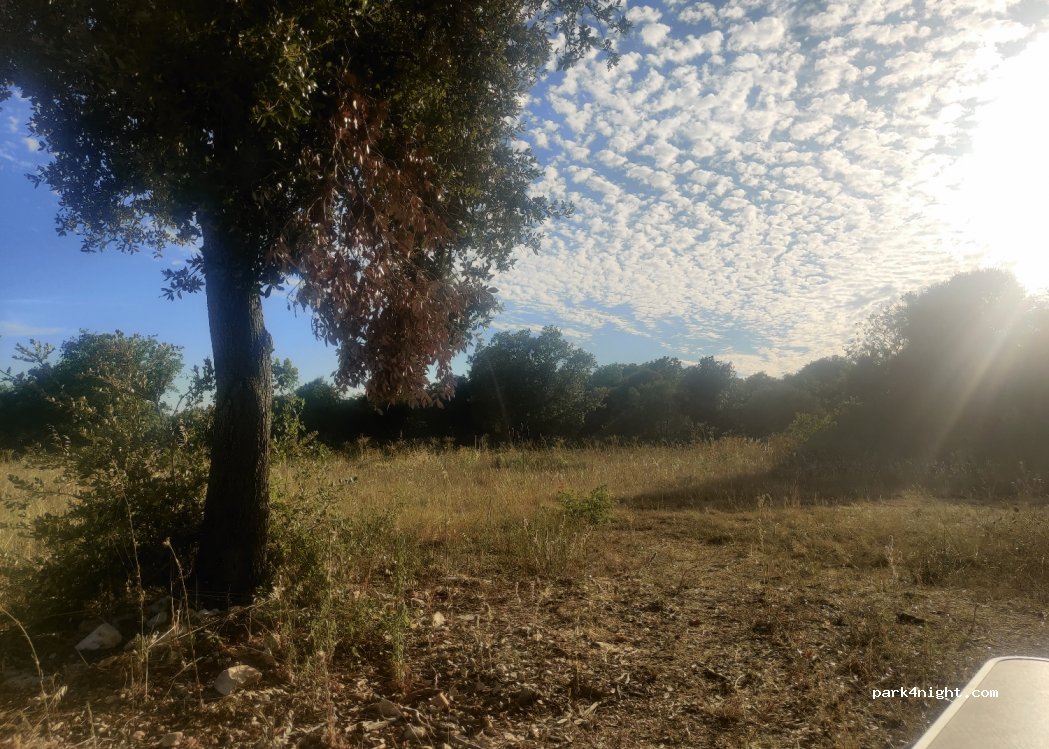 (52210) Rovinj - — foto