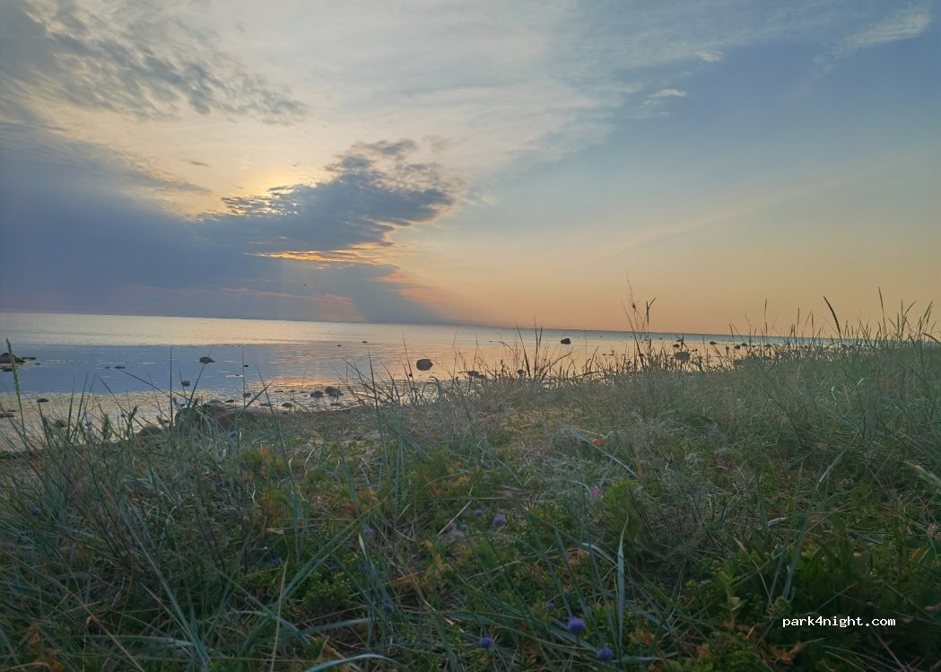 (92220) Kauste - — foto 2