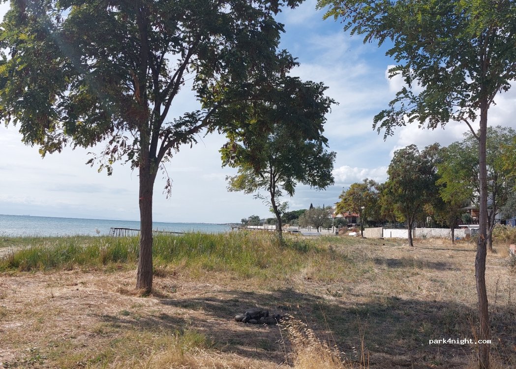 (59560) Tekirdağ - — foto