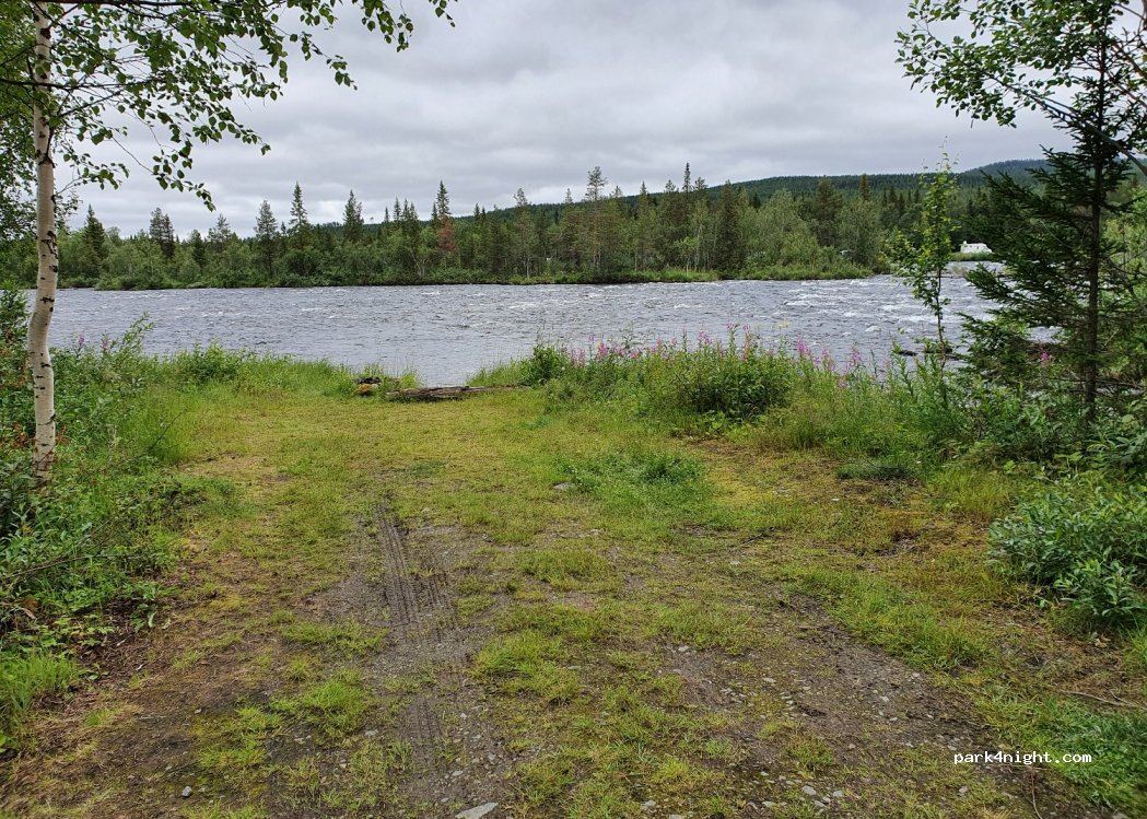 (930 86) Moskosel - — foto