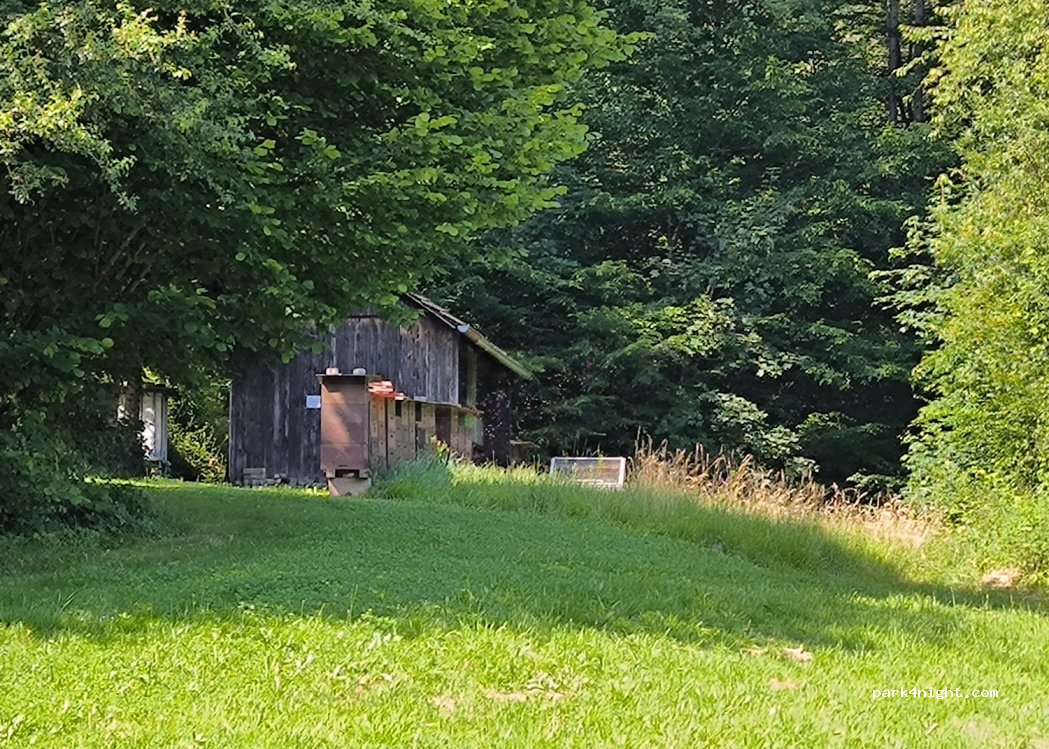 (77723) Gengenbach - 14 Mattenhofweg — foto 4