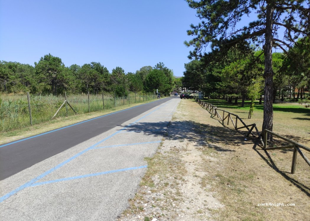 (30028) Bibione - Via delle Colonie — foto