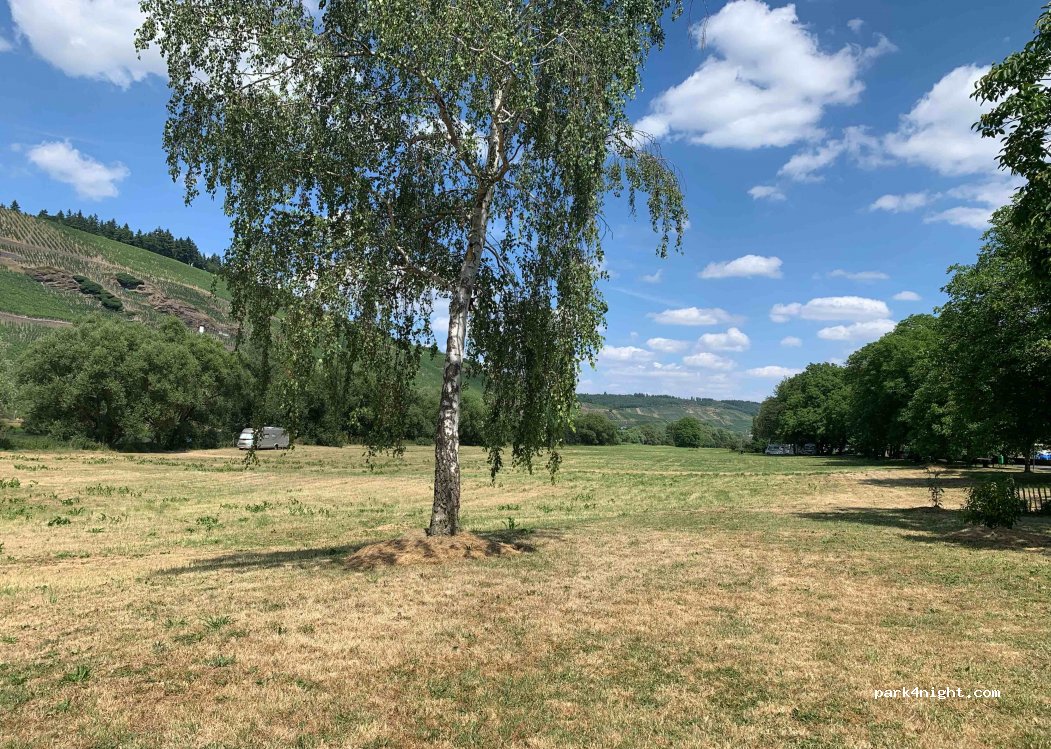 (54472) Brauneberg - 171 Moselweinstraße — foto