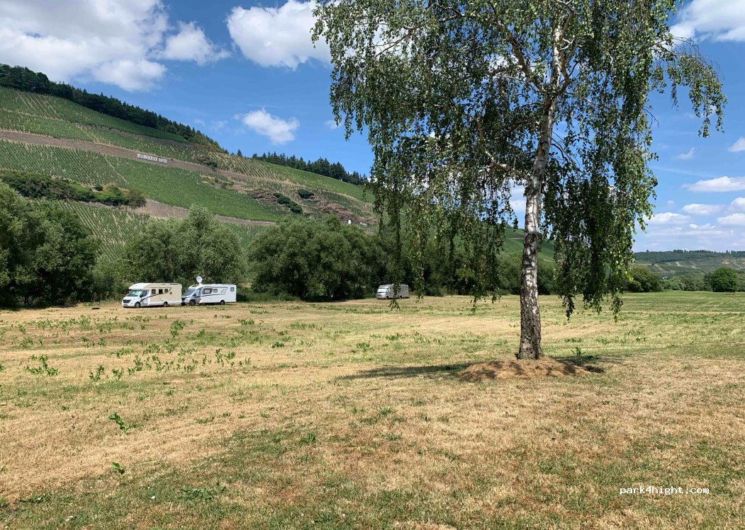 (54472) Brauneberg - 171 Moselweinstraße — foto 2