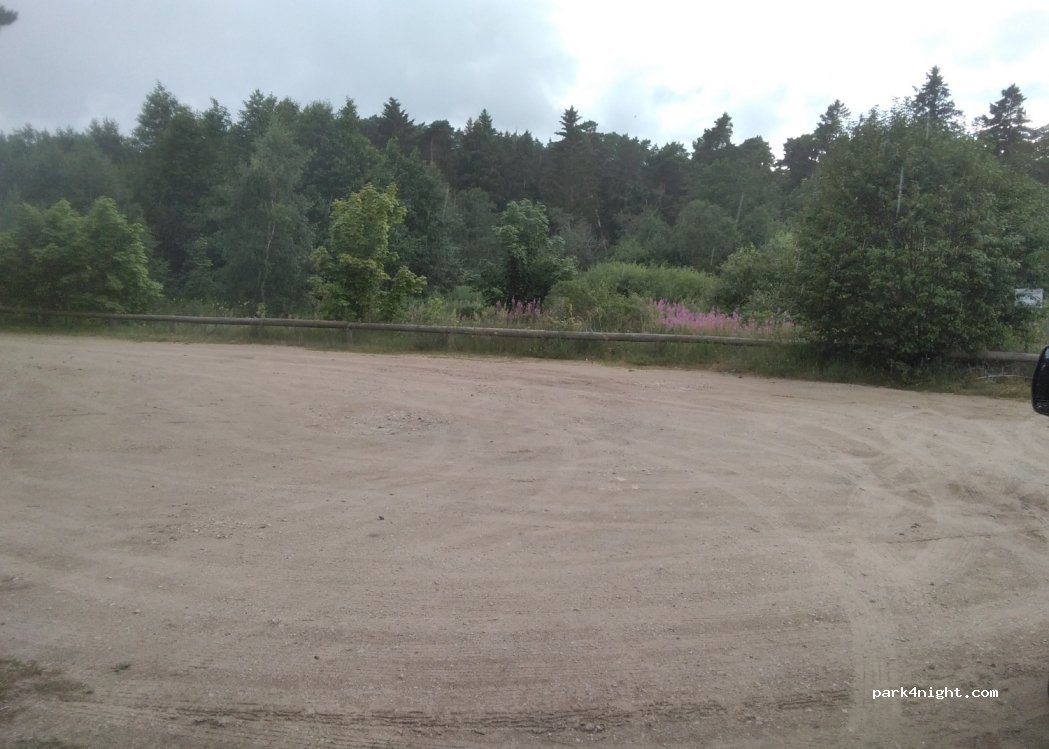 (45451) Rutja - — foto 2