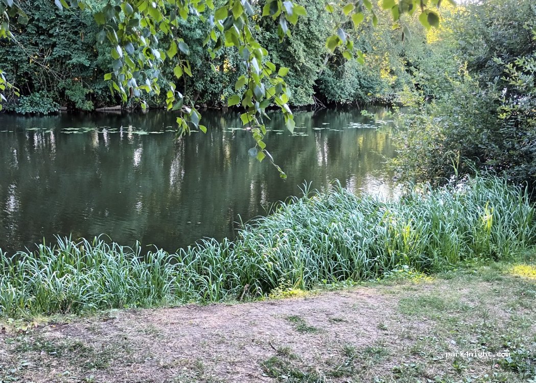 (72170) Vivoin - 21 Rue de Maresché — foto 3