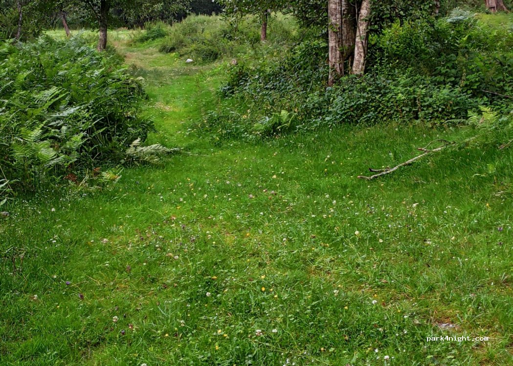 (9905) Gaimberg - — foto