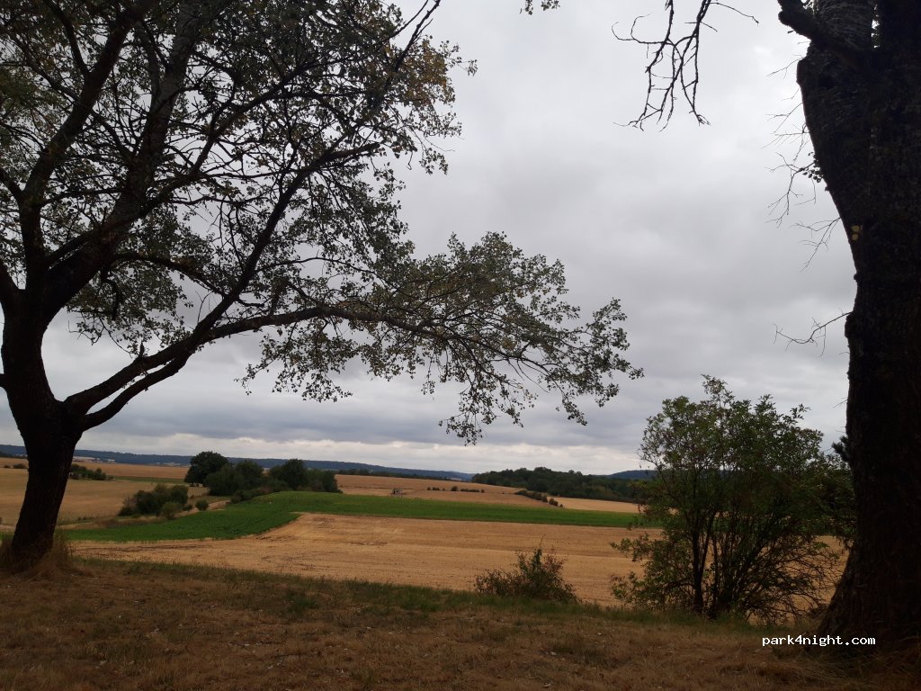 (54170) Colombey-les-Belles - D674 — foto 2