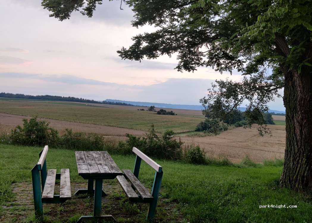 (54170) Colombey-les-Belles - D674 — foto 3