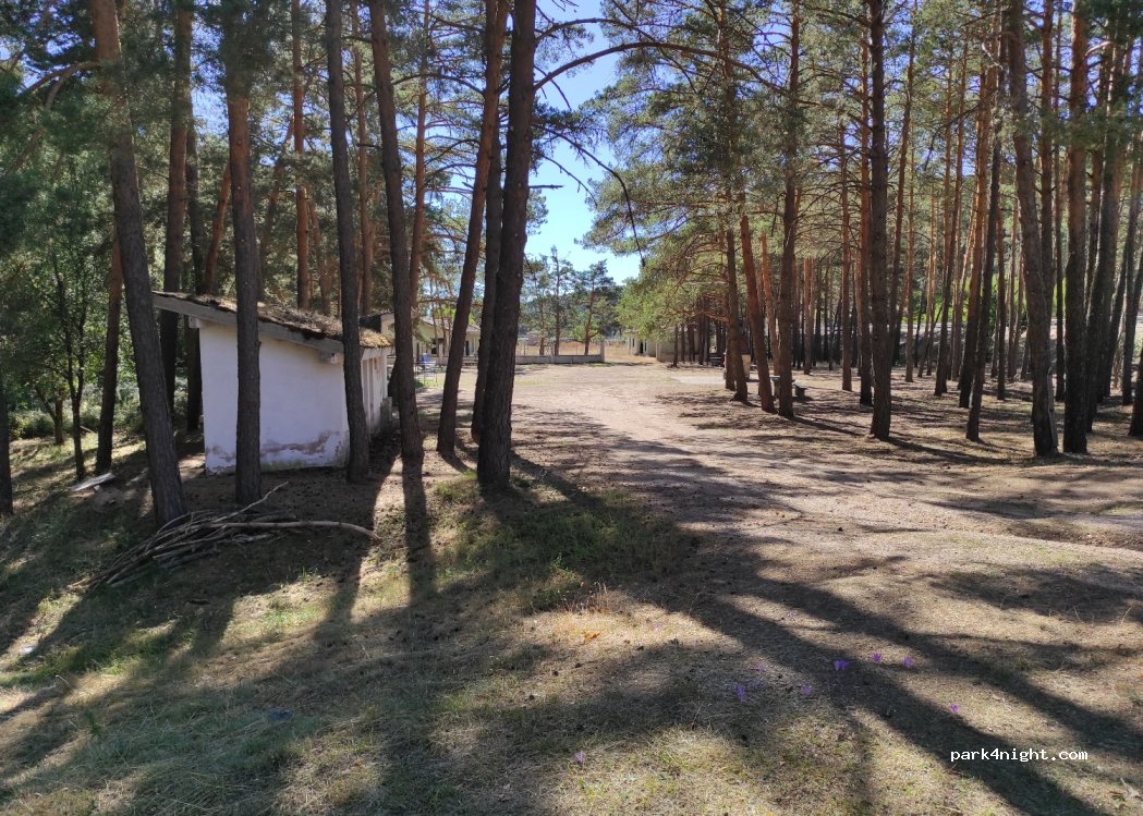 (42140) San Leonardo de Yagüe - N-234 — foto