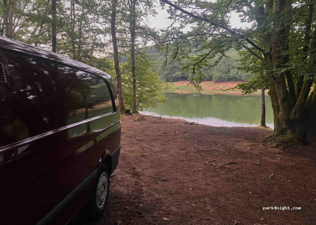 (58120) Chaumard - 343 Bois de la Faye — foto 2
