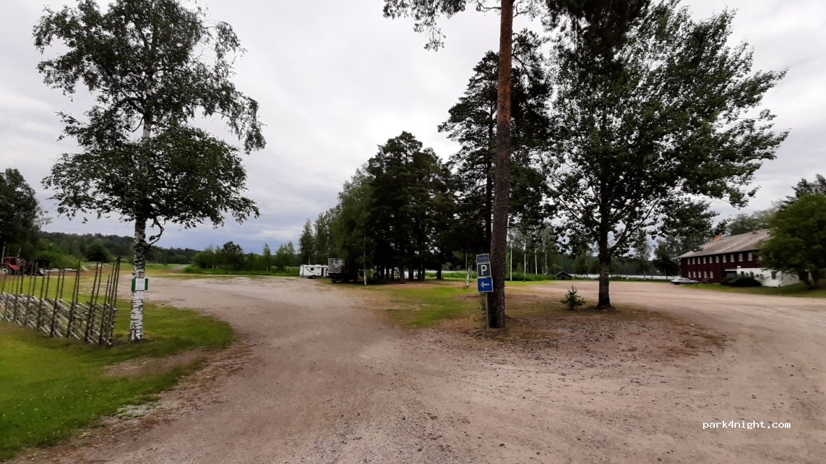 (671 94) Brunskog - 677 — foto