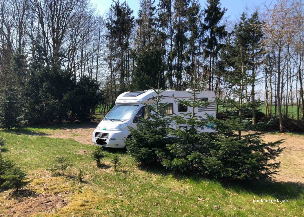 (17398) Neu Kosenow - 3C Auerose — foto 3