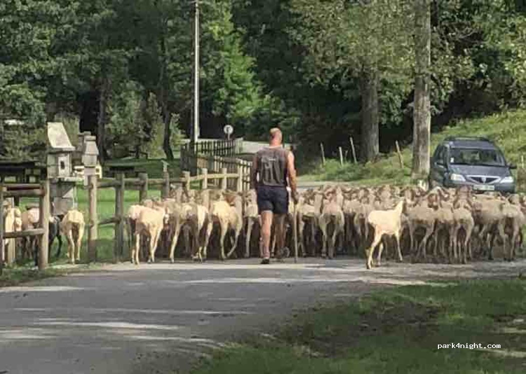 (64570) Arette - Chemin de l'Arroue — foto 5