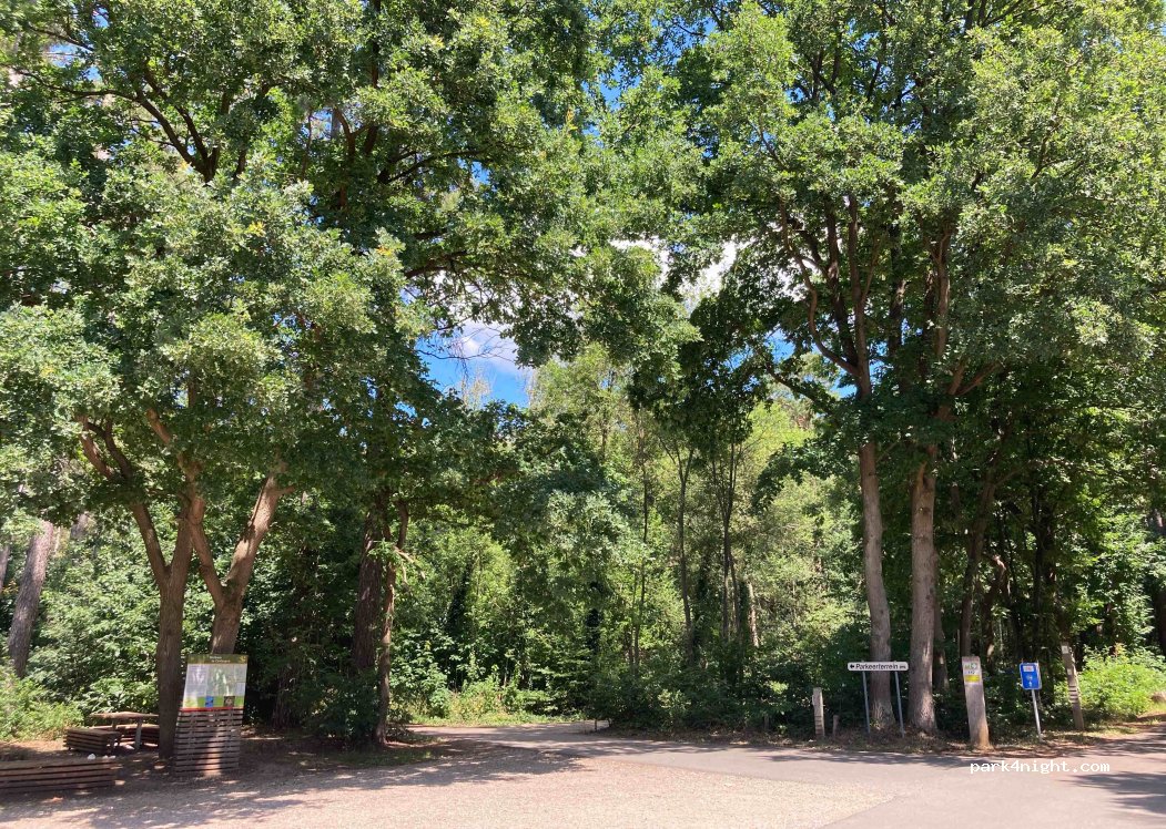(3980) Tessenderlo - Heggebossenweg — foto 2