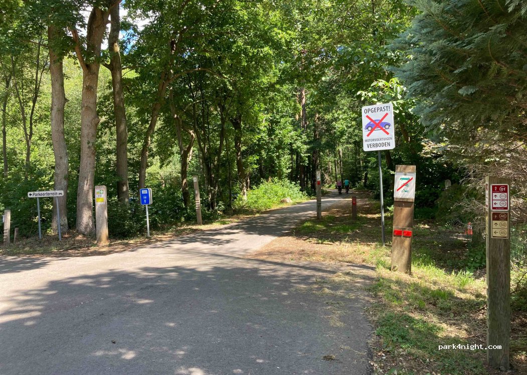 (3980) Tessenderlo - Heggebossenweg — foto 3