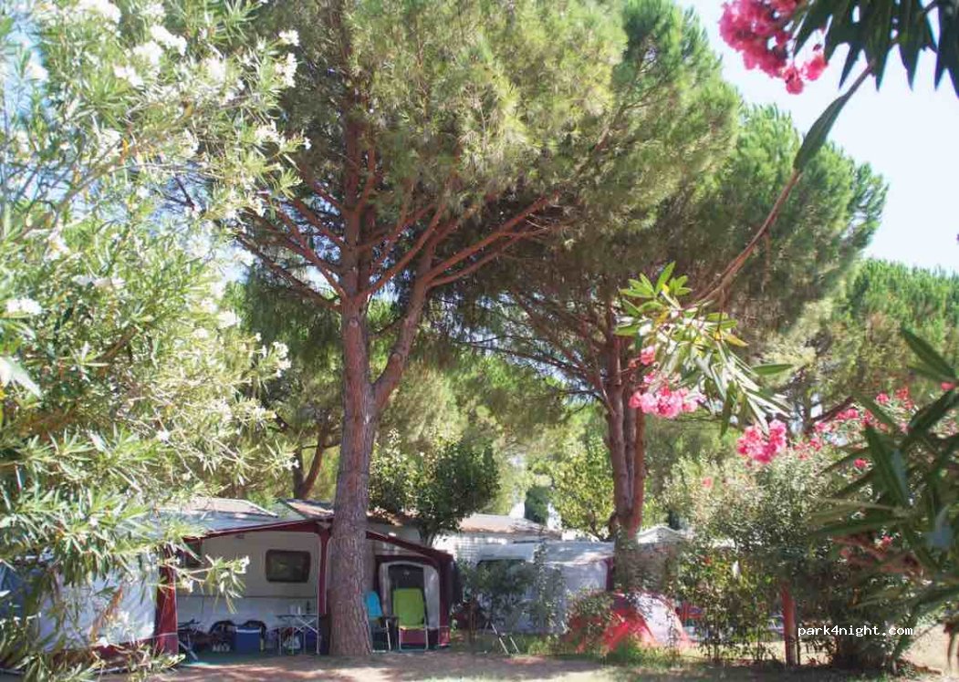 Camping Ecolodge L'Étoile d'Argens — foto 3