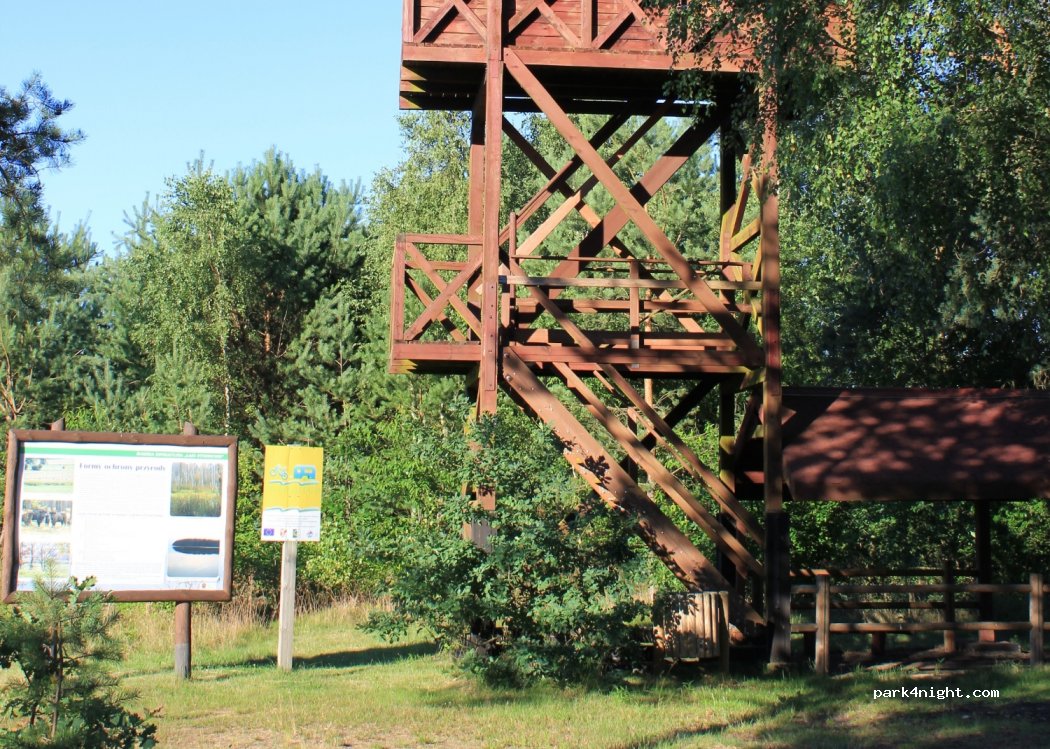 (78) Ziemsko - — foto 2