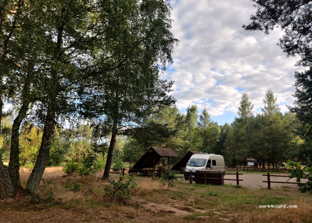 (78) Ziemsko - — foto 3