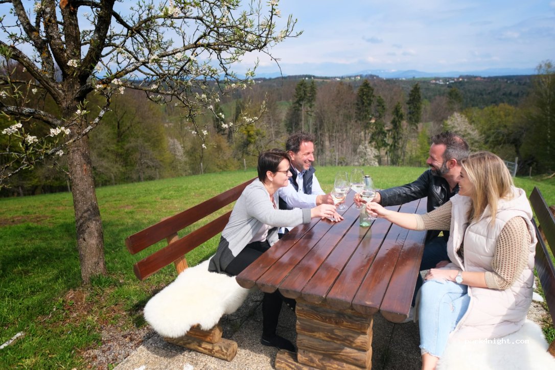 Wohlfühloase am Trausdorfberg — foto 2