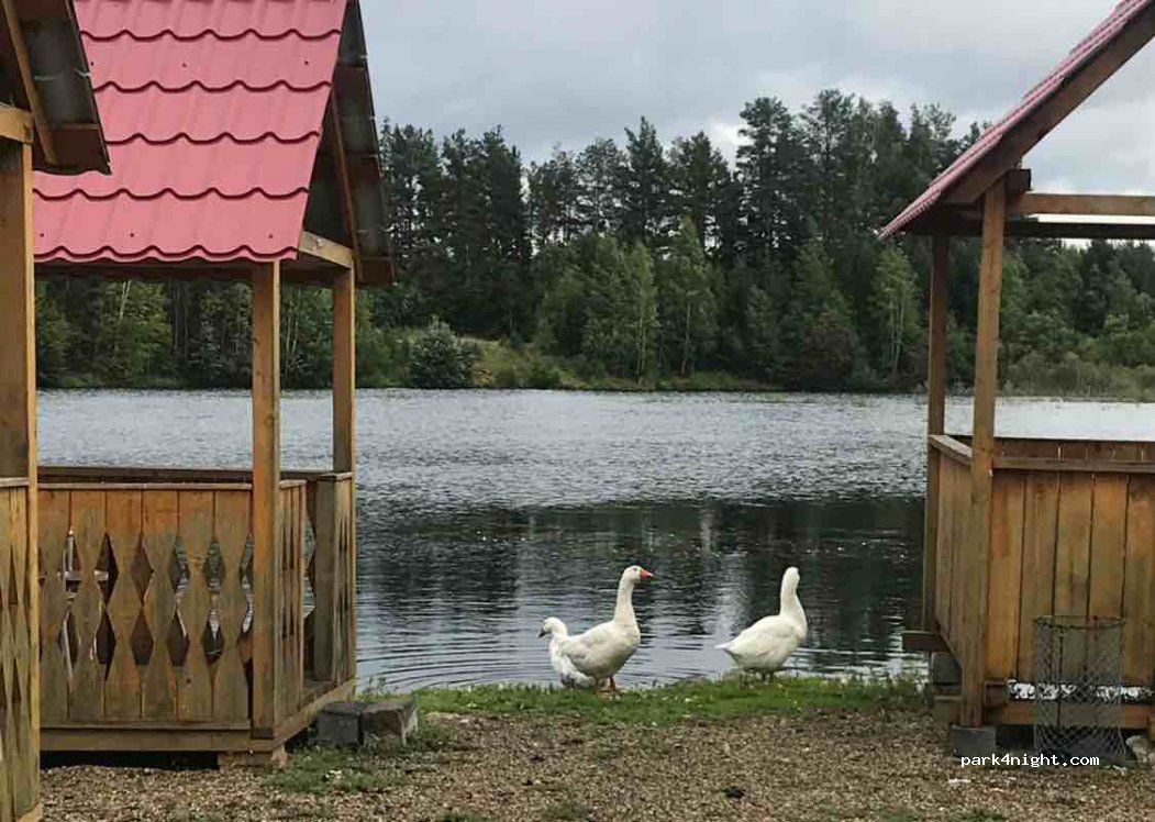 (622911) Nikolo-Pavlovskoe - — foto