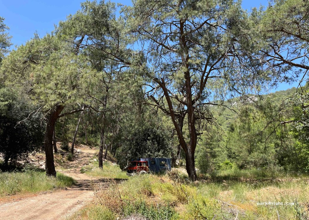 (07980) Kemer - Çıralı Yolu — foto 4