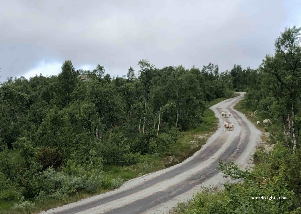(3895) Edland - 347 Bordalsvegen — foto 2