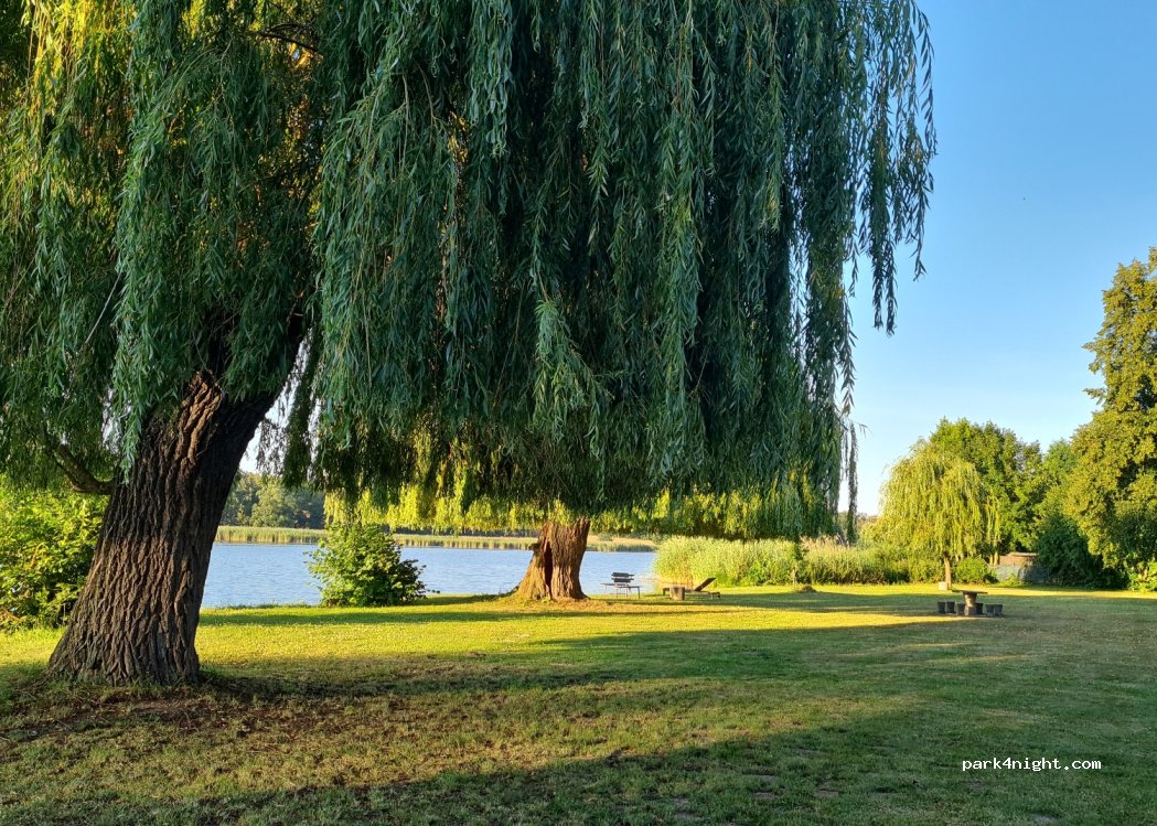 Campingplatz Mutzschen/Roda e.V. — foto 3