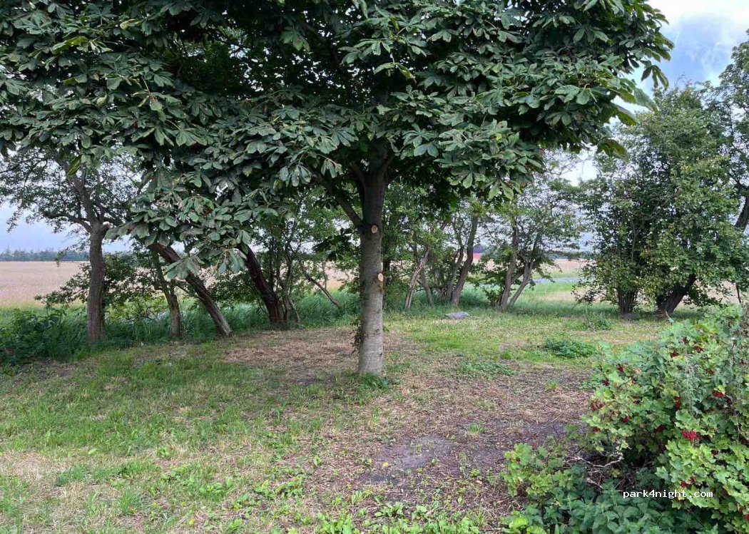 Ferien und Naturhof EastSideCastel Farm — foto 2