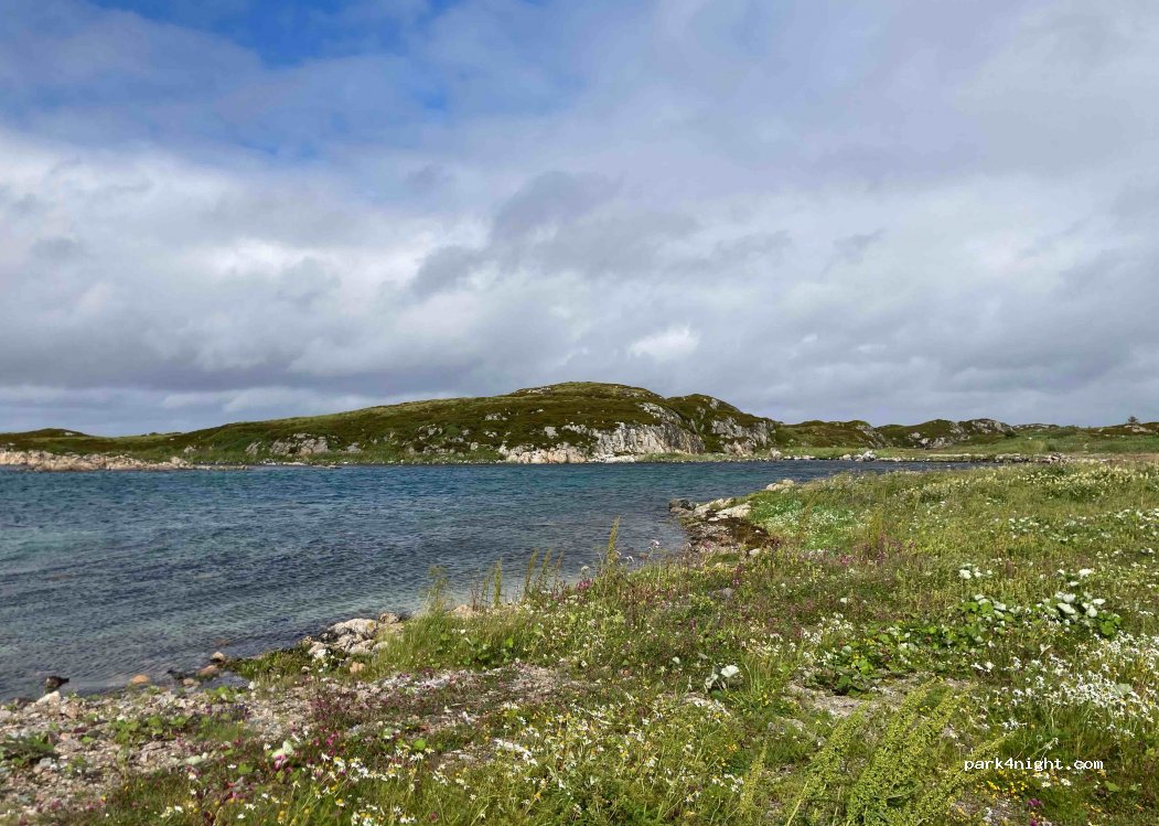 (6364) Nesset - — foto