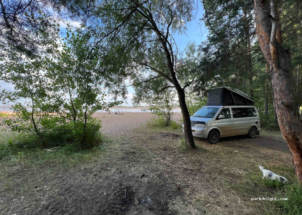 (427413) Novyi - — foto