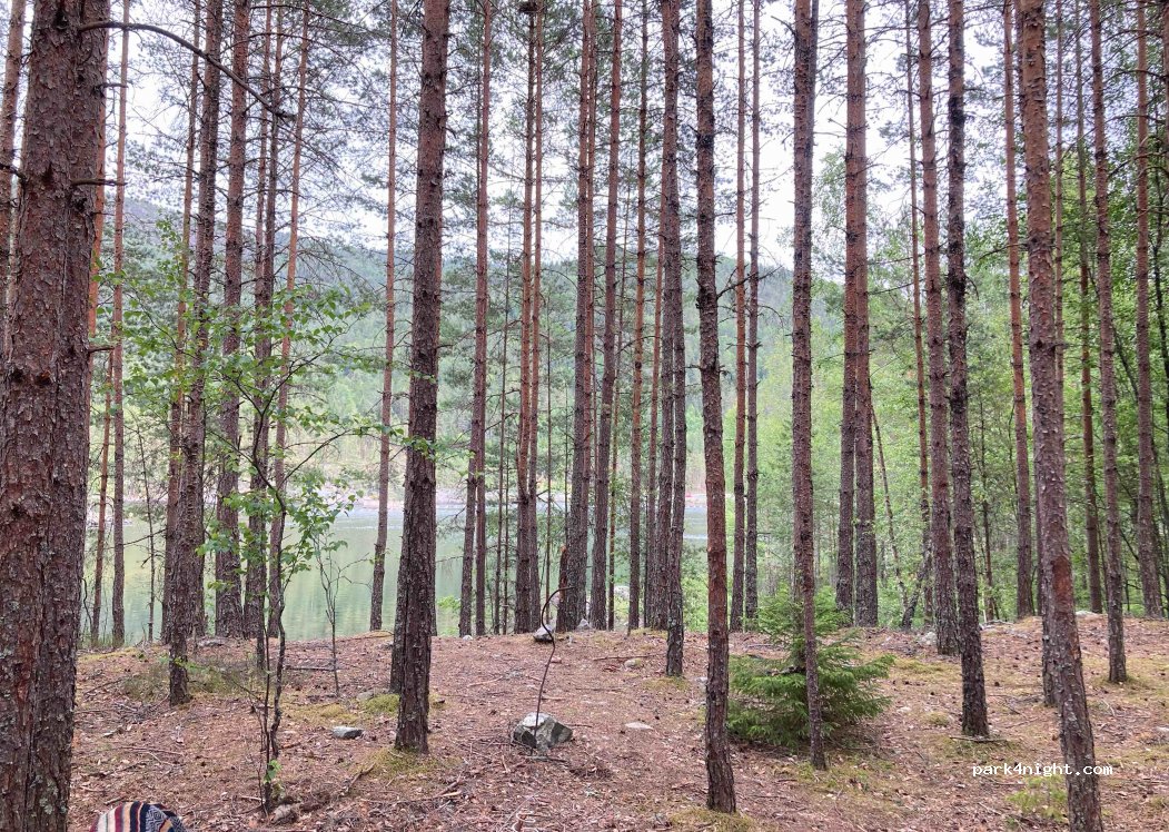 (4741) Byglandsfjord - — foto