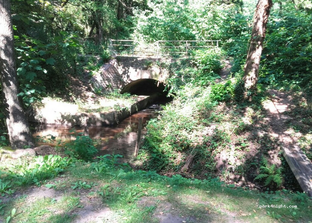 (67110) Niederbronn-les-Bains - 1 Chemin du Martinet — foto 3