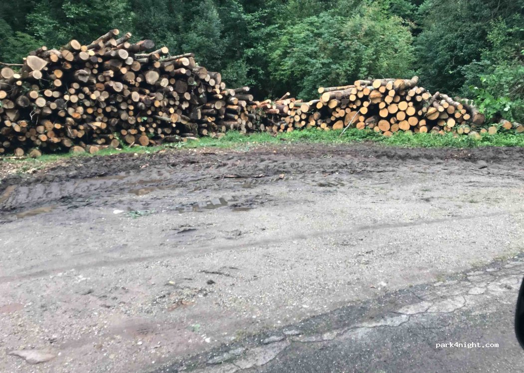 (67110) Niederbronn-les-Bains - 1 Chemin du Martinet — foto 4