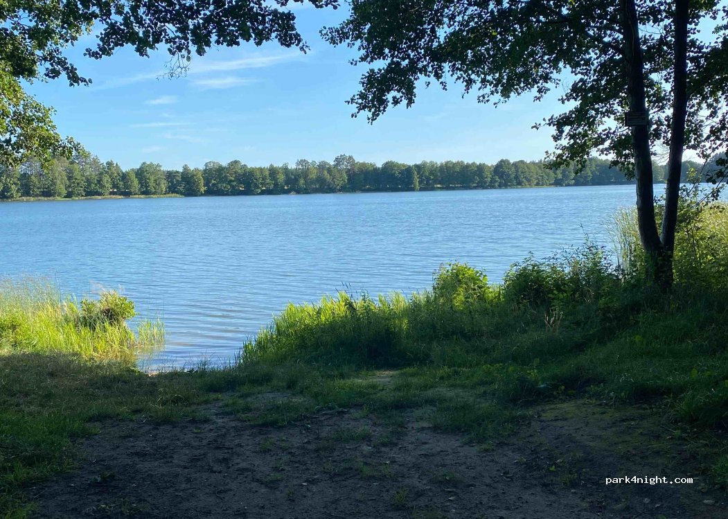 (64) Trzcianka - — foto 2