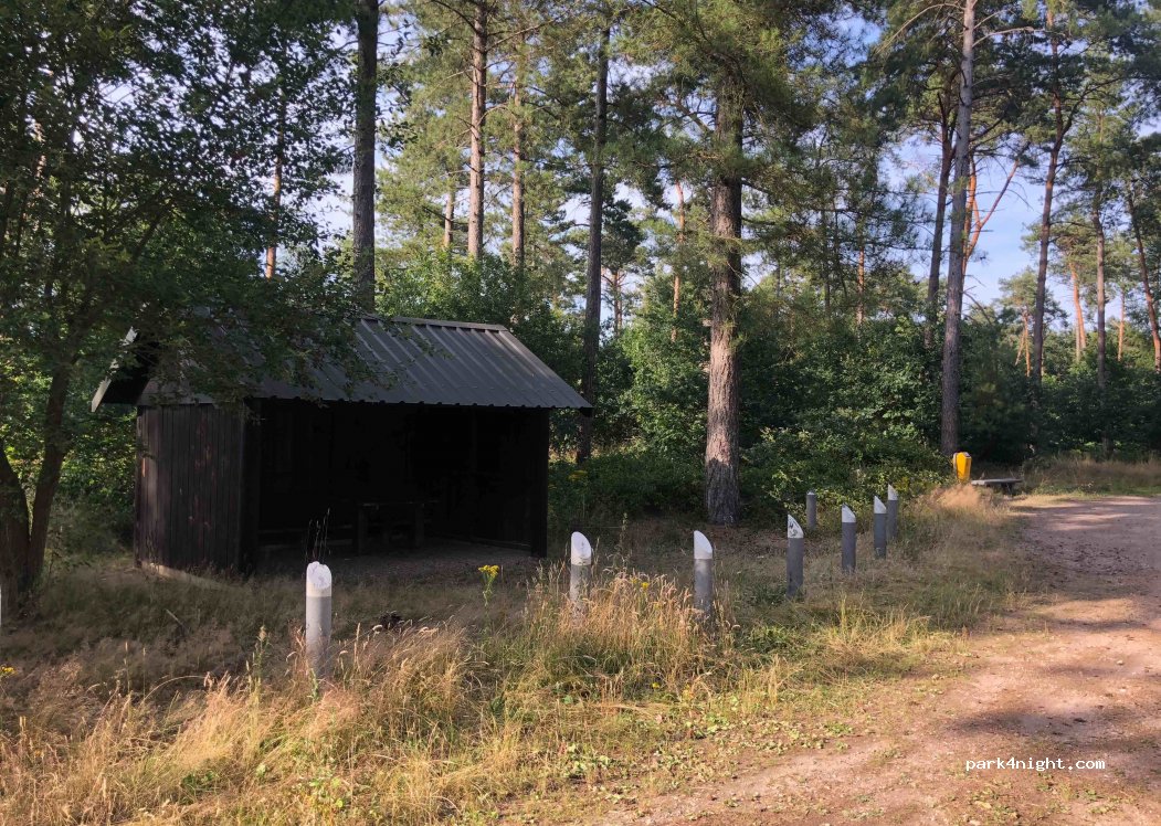 (3930) Hamont-Achel - Beverbeekse Heide — foto