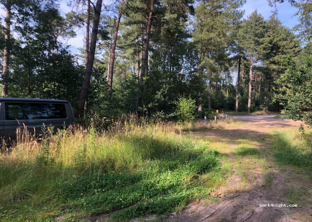 (3930) Hamont-Achel - Beverbeekse Heide — foto 2