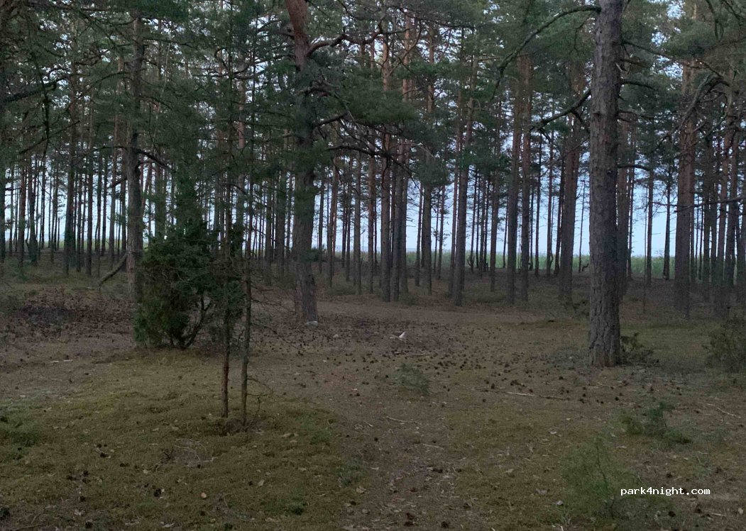(88005) Sääre - — foto