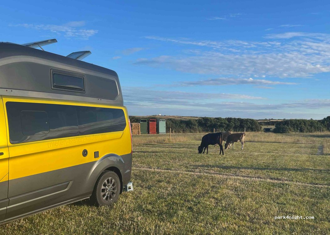 Gwavas Jersey Farm | Cadgwith Camping — foto