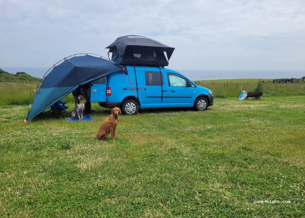 Gwavas Jersey Farm | Cadgwith Camping — foto 3