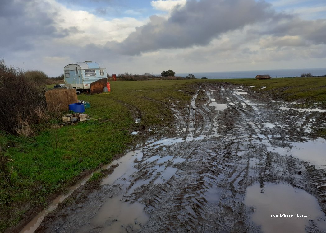 Gwavas Jersey Farm | Cadgwith Camping — foto 4