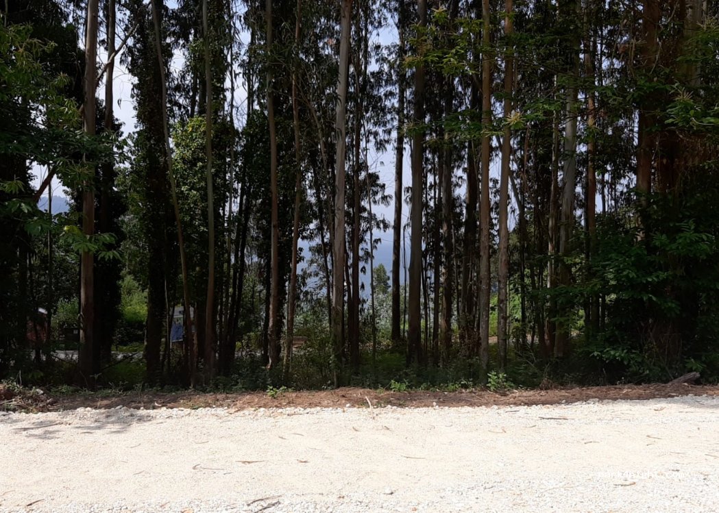 (15627) Fene - 19A Lugar Rio Castro — foto 4